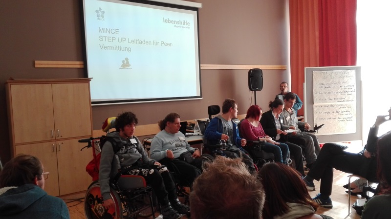 Final Conference of MINCE project in Graz